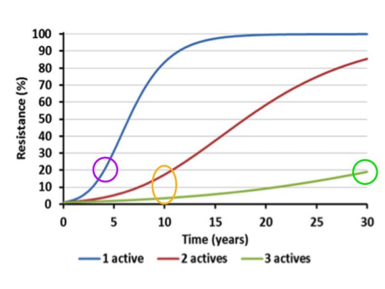 Research_Drench_Resistance_Combinations